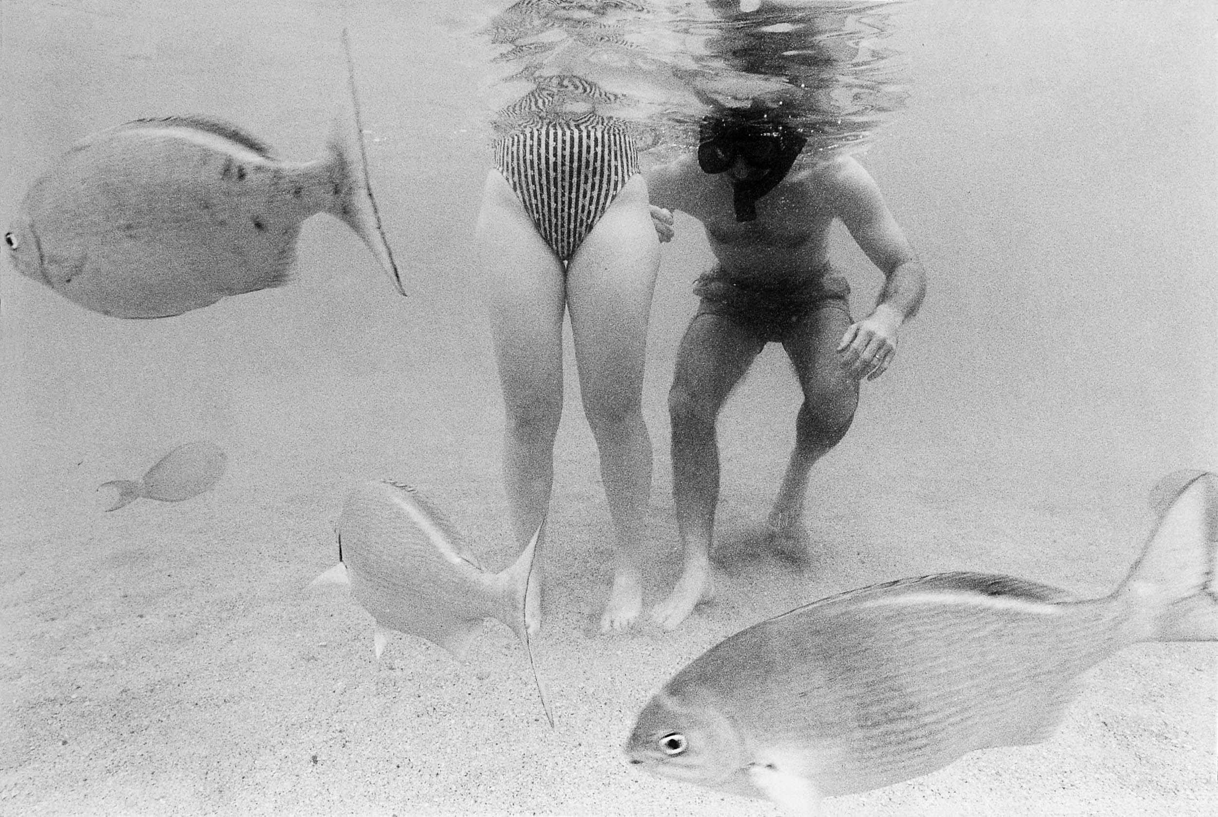 Barbara Alper- Photo of fish swimming around people at Hanauma Bay, Oahu Hawaii
