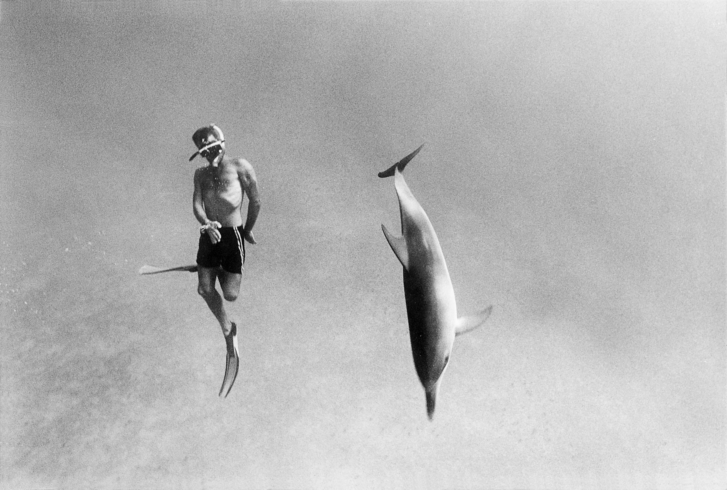 Barbara Alper- Photo of Dolphin and man swimming in the Bahamas