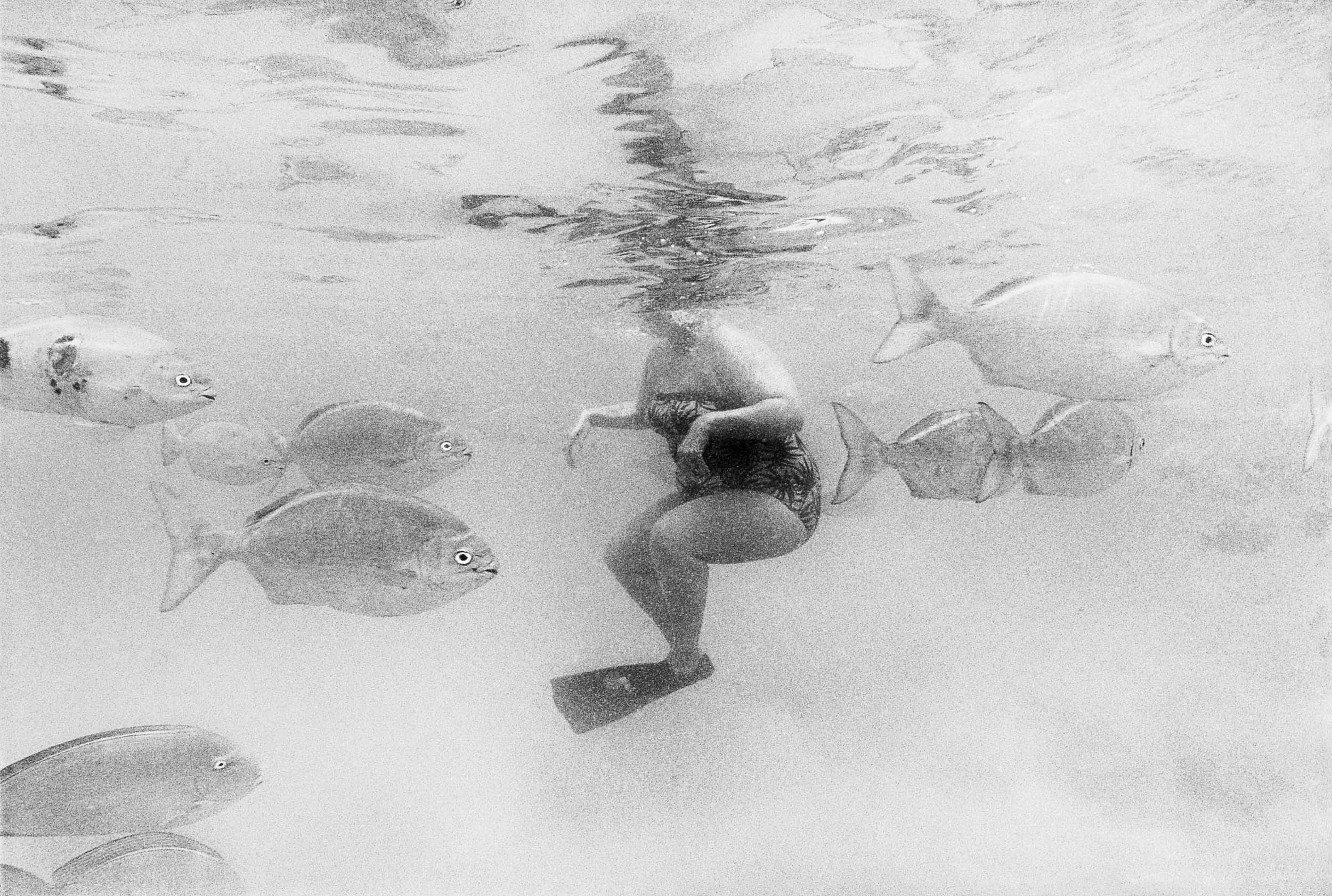 Barbara Alper- Photo of woman in water with fish at Hanauma Bay,  Oahu Hawaii
