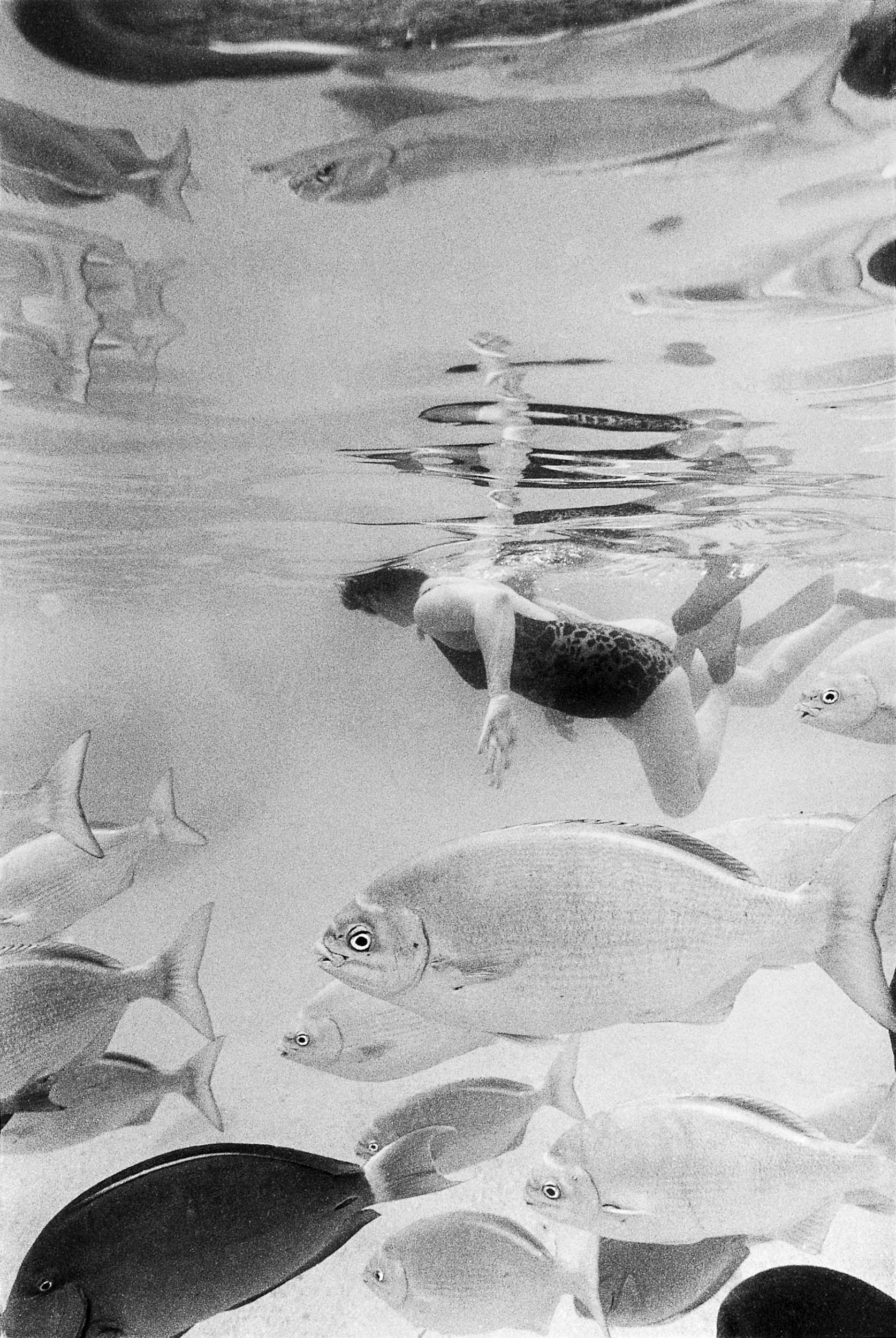 Barbara Alper- Photo of women swimming with fish at Hanauma Bay, Oahu Hawaii