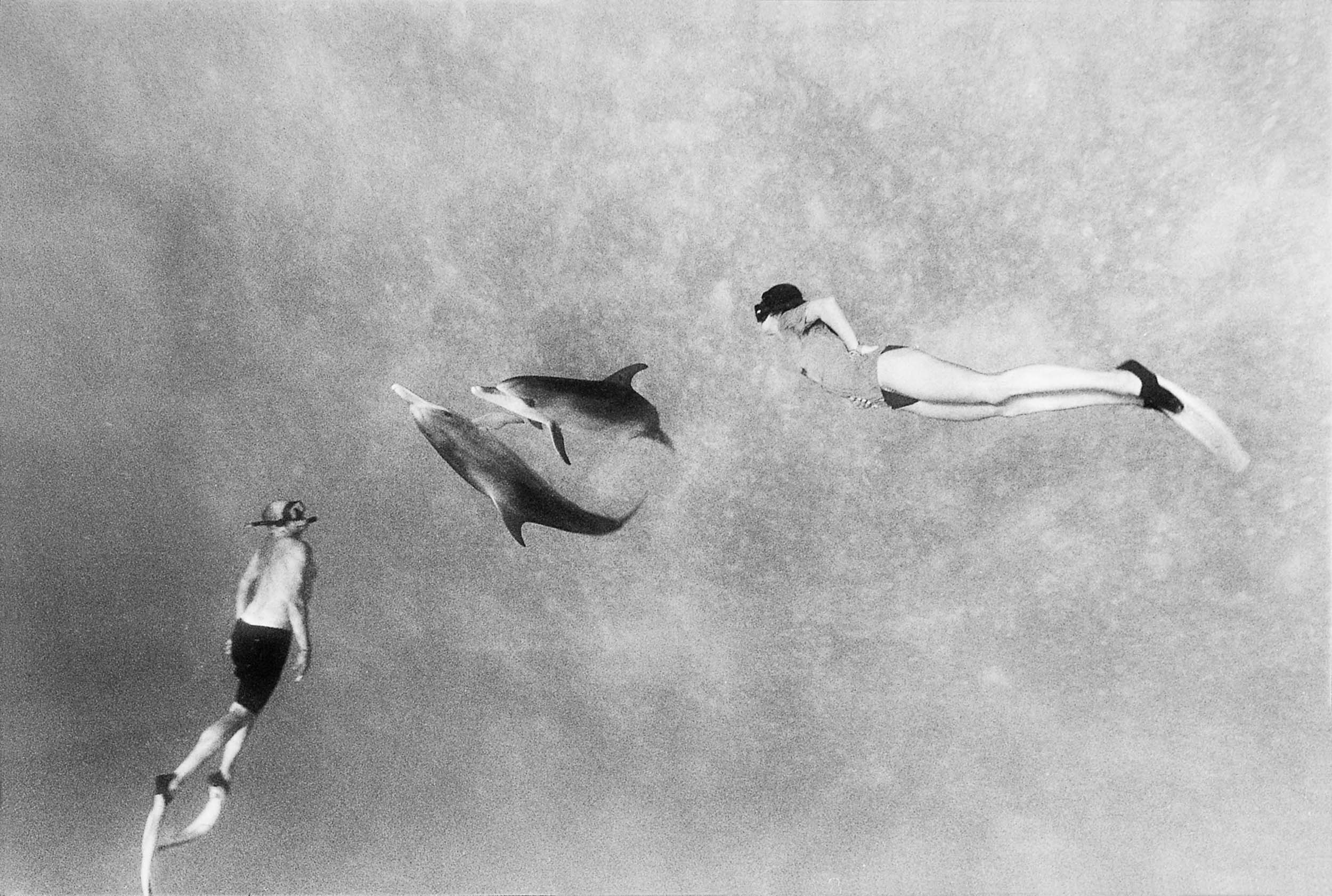 Barbara Alper- Photo of two people swimming with two Dolphins in the Bahamas